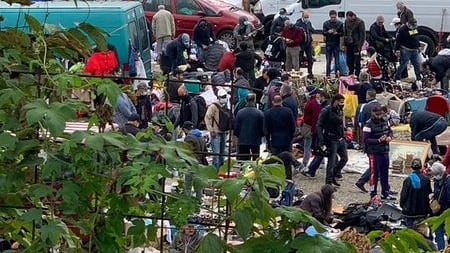 Movida, scuole, bus e abusivi. Quando virus fa rima con caos