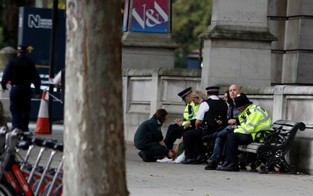 Londra, un'auto sulla folla davanti al museo di storia naturale 5