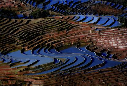 Lo spettacolo dei campi terrazzati in Cina 5
