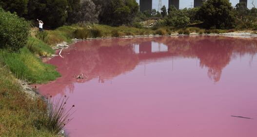 Lago australiano rosa: le foto 5