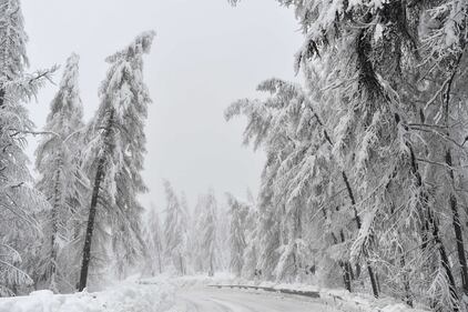 Sestriere, sommersa dalla neve 2