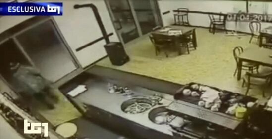 Budrio, ecco l'assalto di Igor al bar 4