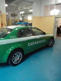 La auto "verdi" dei Carabinieri 4