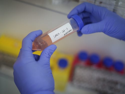 Un cerotto per battere il virus: il potenziale vaccino che dà speranza