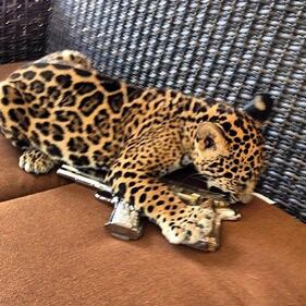 Rich Kids of Mexico, le foto 1