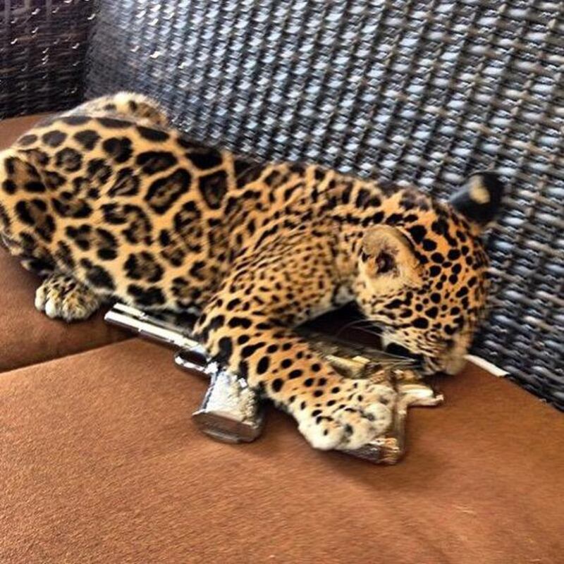 Rich Kids of Mexico, le foto 1