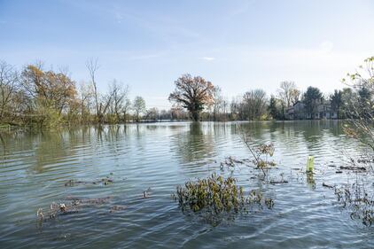 Il Ticino esonda a Pavia 12