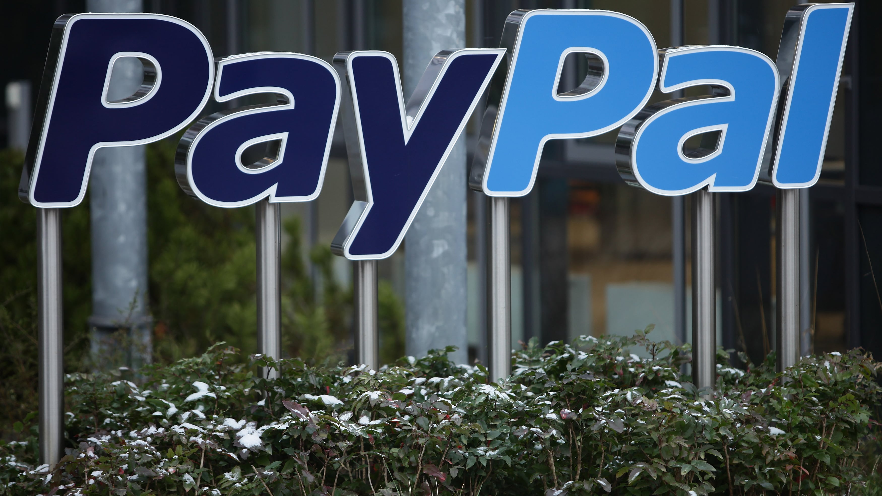 Care "felpette" di Paypal ora restituitemi i miei soldi