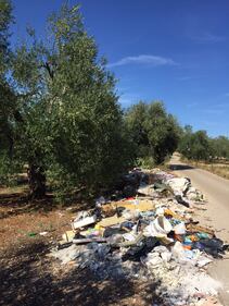 Bitonto e le campagne nel degrado 11