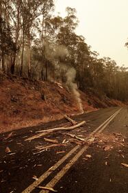 Incendi in Australia, le immagini della devastazione 6