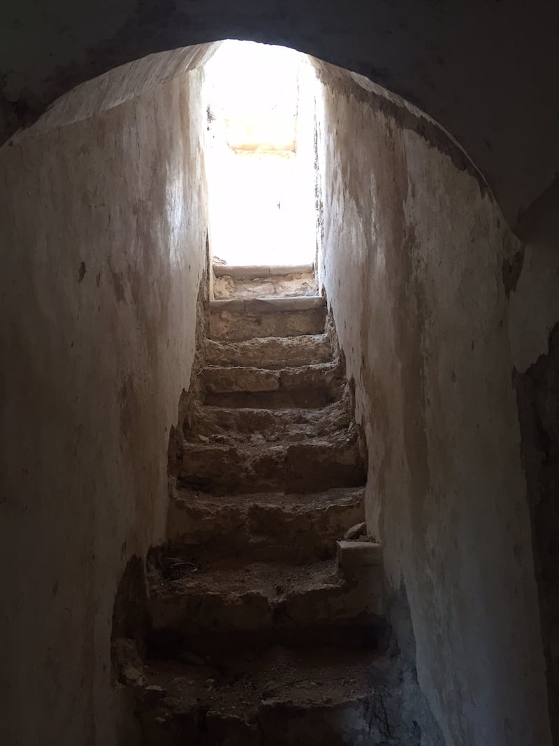 Bitonto e le campagne nel degrado 15