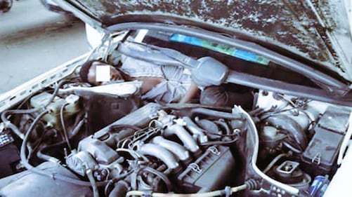 Ceuta, immigrato nascosto nel motore dell'auto 2