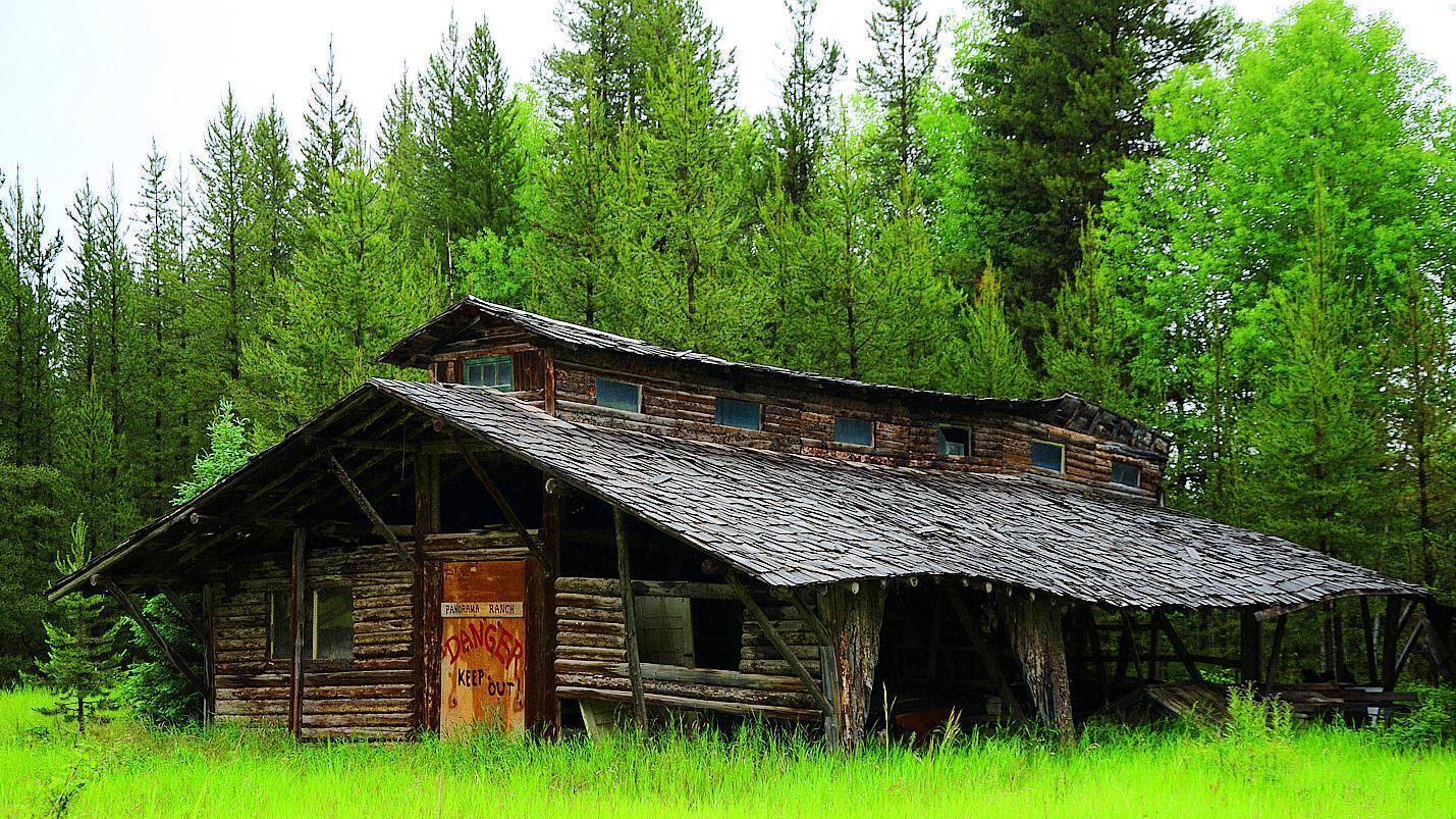 Montana, il paradiso degli orsi negli Stati Uniti più selvaggi