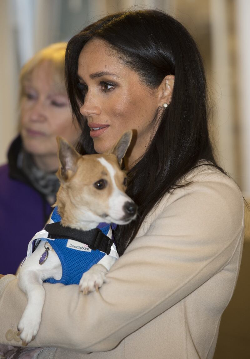 Meghan Markle e Kate Middleton, le cognate in foto 4