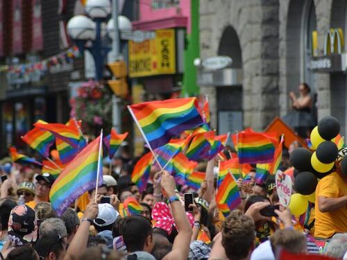 "Non chiediamo scusa". L'arroganza arcobaleno contro Rocca