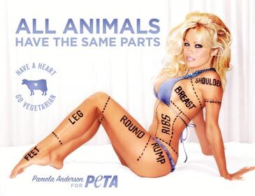 Pamela Anderson sexy e impegnata 9