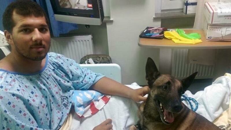 Il soldato e il suo cane-eroe. Feriti e ricoverati insieme