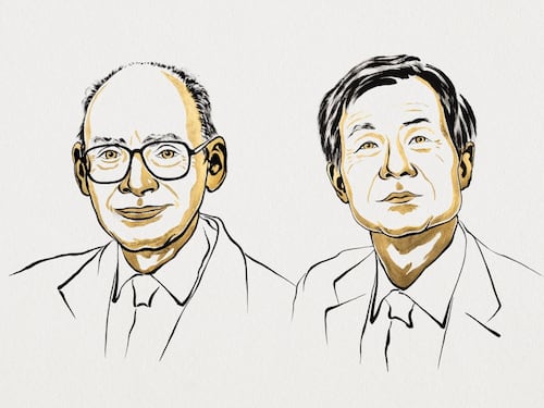 Chimica, Nobel ai registi delle molecole a specchio