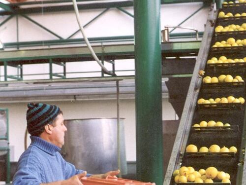 E adesso l'Unione europea fa pure guerra al bergamotto