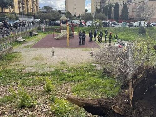 Tragedia a Roma: cade un albero e uccide una donna sul colpo
