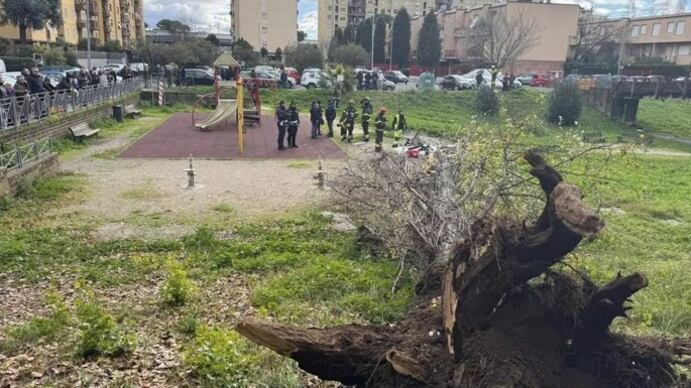 Tragedia a Roma: cade un albero e uccide una donna sul colpo