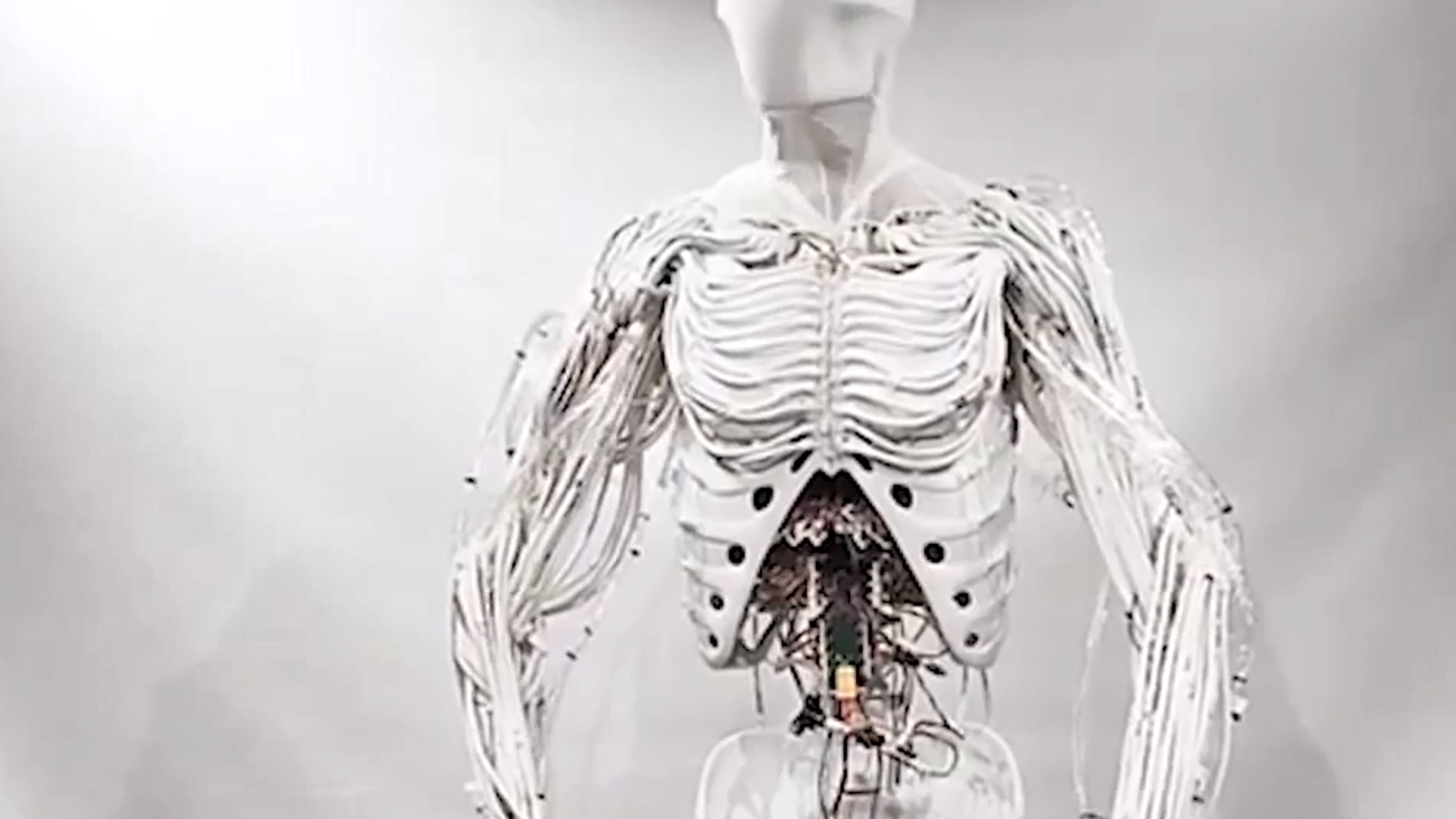 La robotica spaventa: l'inquietante "Clone Alpha", con organi e vene sintetiche (ma senza faccia)