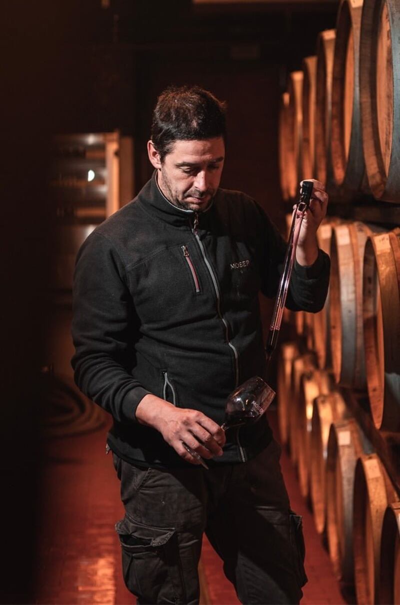 Moser, Matteo Moser in cantina
