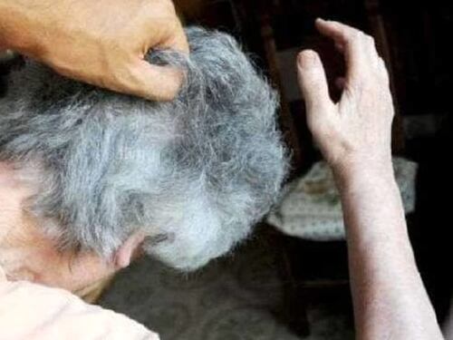 Botte alla nonna per avere denaro, arrestato 25enne