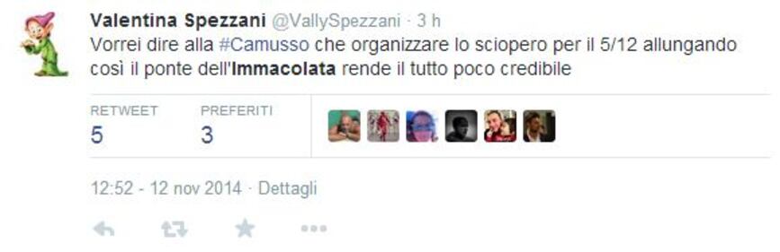 Twitter contro la Cgil: "Così allungano il ponte" 14