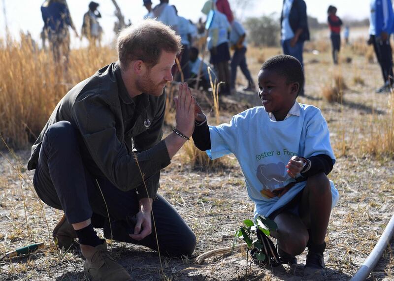 Il Principe Harry e Meghan Markle in Africa: foto 4