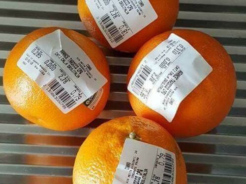 I sacchetti biodegradabili a pagamento solo in Italia