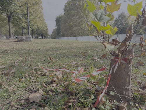Ucciso nel parco per droga, fermato il killer