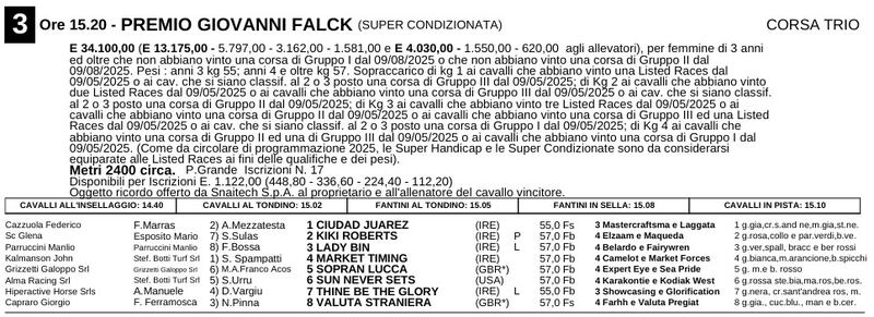 Falck_MI_2025
