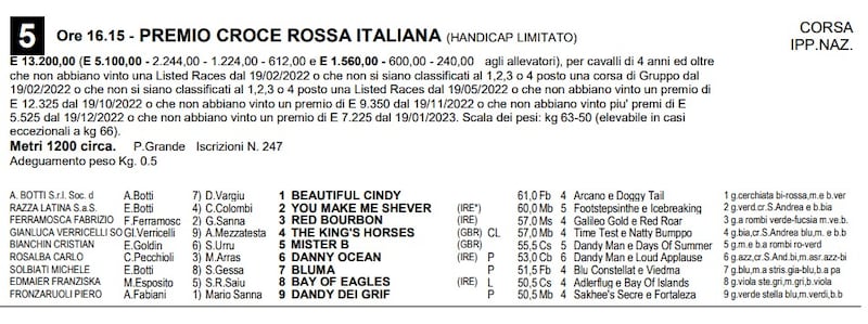 Premio Croce rossa italiana