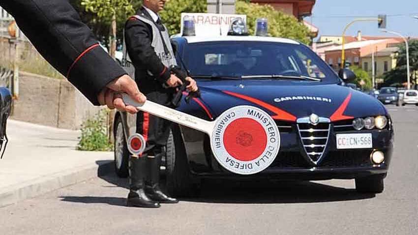 Il suo cane uccise un meticcio: i carabinieri denunciano un uomo
