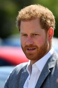 Il Principe Harry e Meghan Markle, le foto dei duchi di Sussex 6