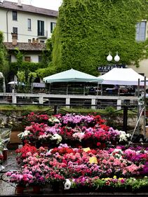 A Milano il Mercato Fiori e Sapori nel Naviglio Grande 8