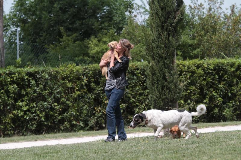 Flavia Vento vuole diventare nuovo sindaco di Roma 17