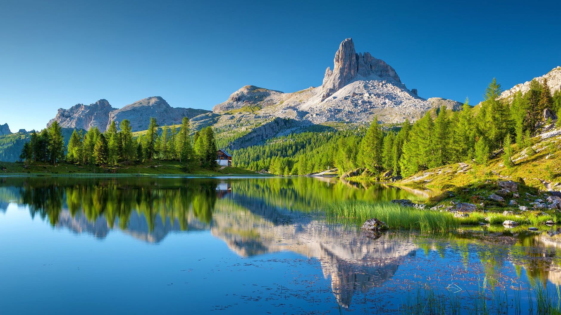 Vinse la causa milionaria, ma si toglie la vita buttandosi nel lago