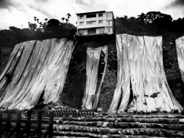 Xo Wei Shou, Taiwan, vincitore nella categoria Giovani per "Environment"