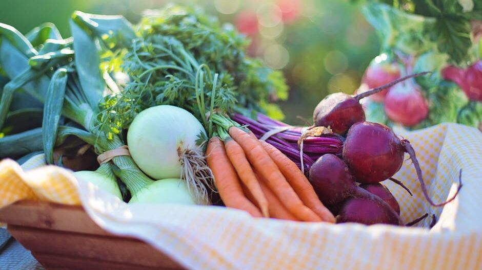 Estate, i consigli del virologo: così si riducono i rischi di intossicazione alimentare