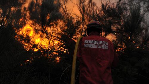 Colossale incendio in Portogallo 6