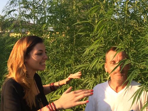 I benefici e il business della canapa tessile