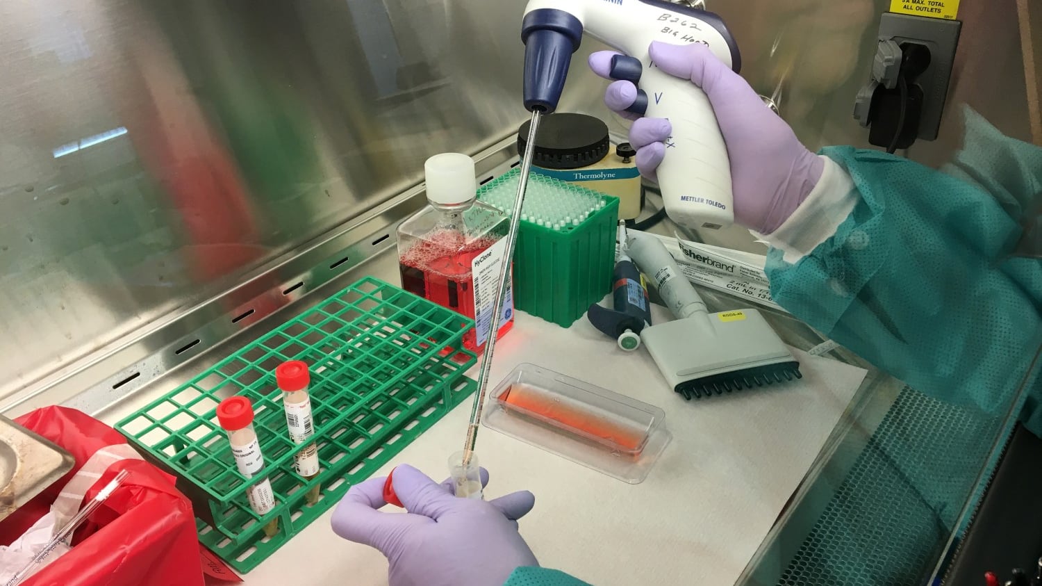 Coronavirus, due ceppi diversi: il tipo-L è più contagioso e letale