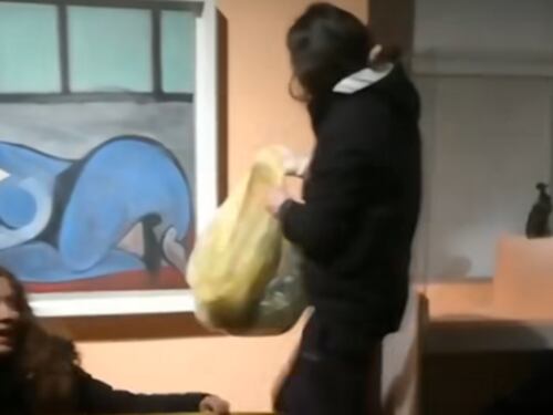 Letame contro il quadro di Picasso: l'ultima follia degli animalisti