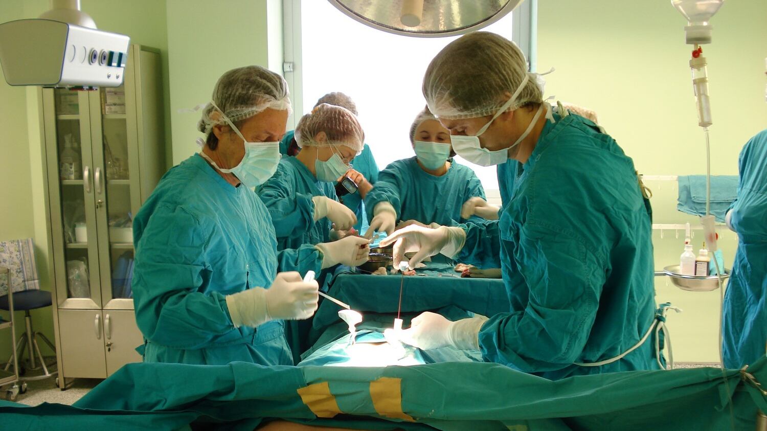 Trapianto midollo, genitori sempre compatibili grazie a nuova tecnica