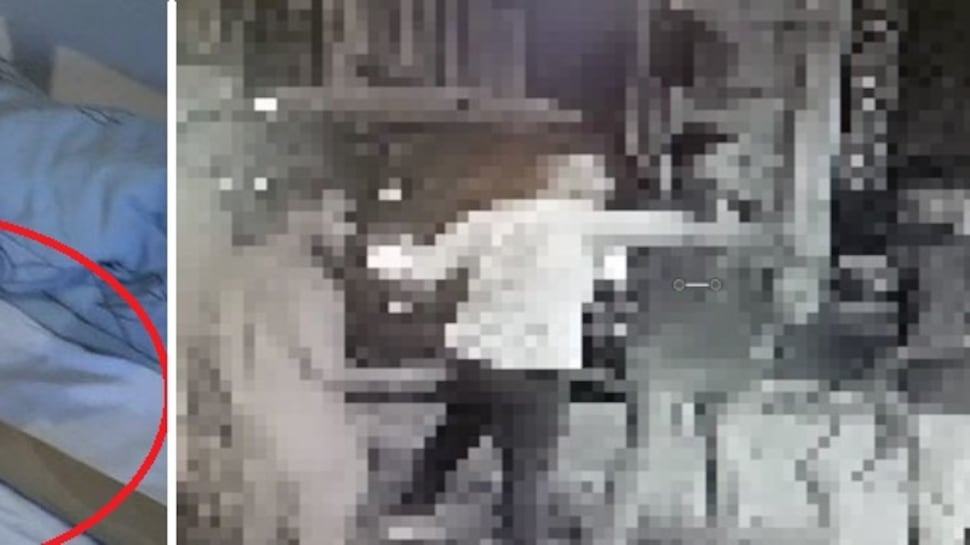 Roma, aggressioni al "Cinema America": arrestate tre persone