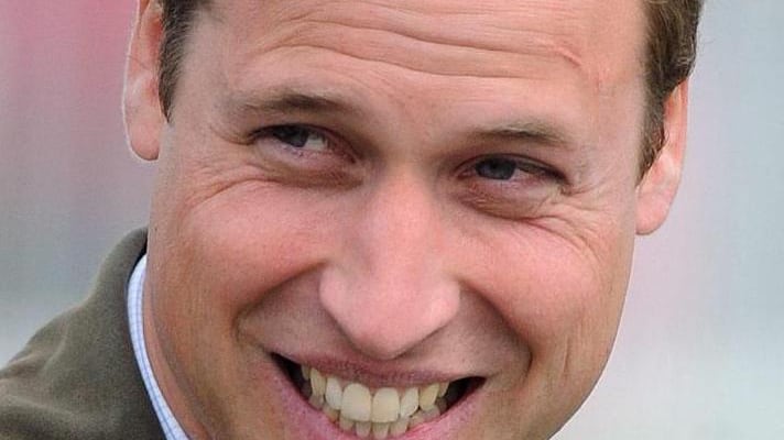 Abbattuti i cani che proteggevano il principe William