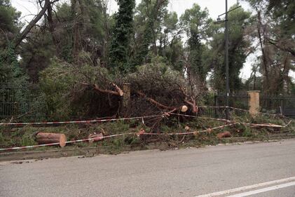 L'esondazione del fiume Pescara 3