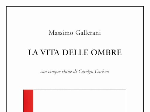 I versi delicati di Massimo Gallerani rivelano "La vita delle ombre"